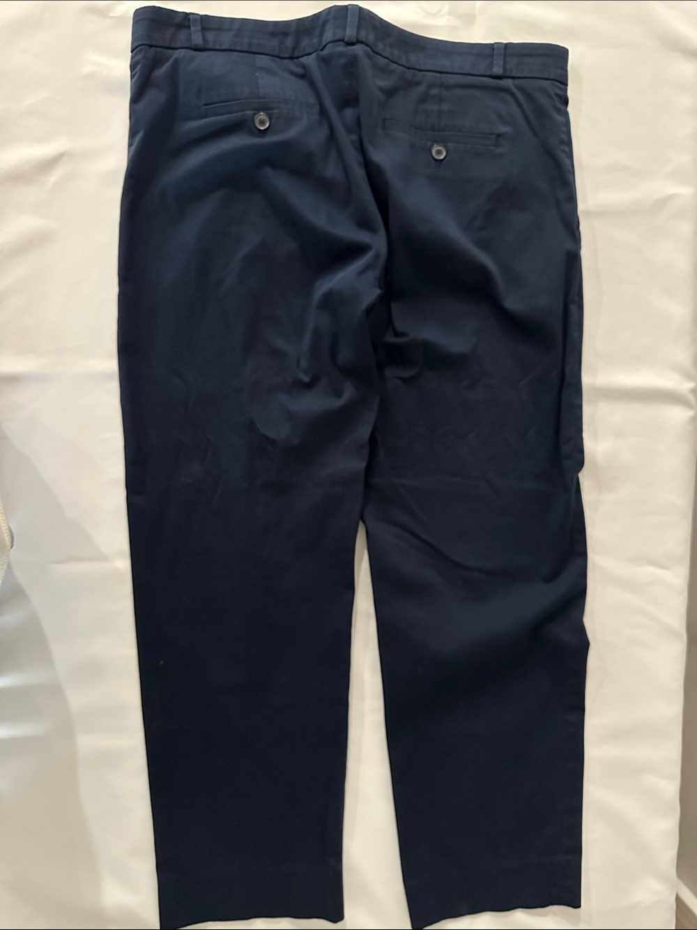 Banana Republic Navy Tailored Dress Pants